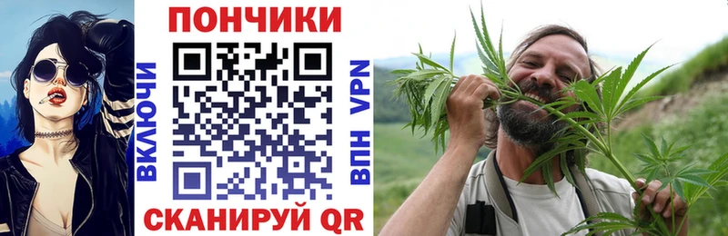 Где можно купить наркотики Сольвычегодск Марихуана  Гашиш 